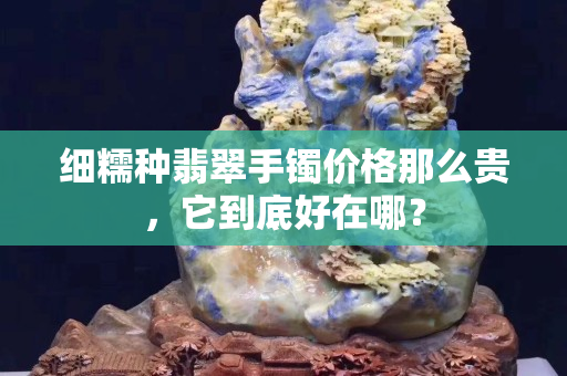 細(xì)糯種翡翠手鐲價(jià)格那么貴，它到底好在哪？