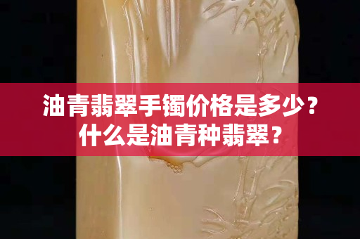 油青翡翠手鐲價格是多少？什么是油青種翡翠？
