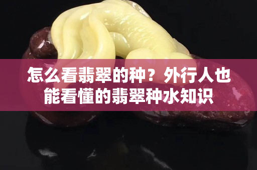 怎么看翡翠的種？外行人也能看懂的翡翠種水知識