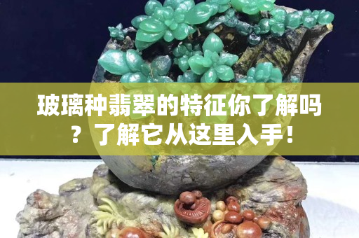 玻璃種翡翠的特征你了解嗎？了解它從這里入手！