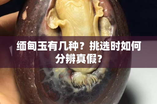 緬甸玉有幾種？挑選時如何分辨真假？