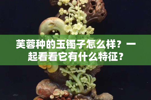 芙蓉種的玉鐲子怎么樣？一起看看它有什么特征？