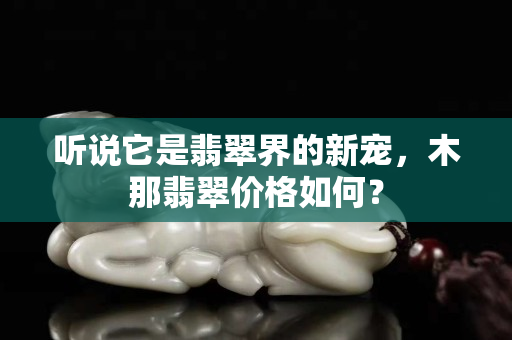 聽說它是翡翠界的新寵，木那翡翠價格如何？