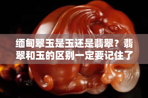 緬甸翠玉是玉還是翡翠？翡翠和玉的區別一定要記住了！
