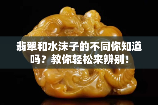 翡翠和水沫子的不同你知道嗎？教你輕松來辨別！