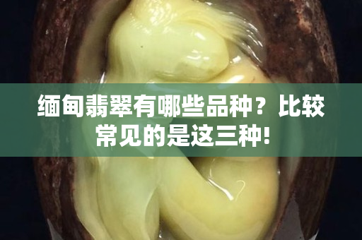 緬甸翡翠有哪些品種？比較常見的是這三種!