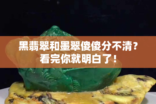 黑翡翠和墨翠傻傻分不清？看完你就明白了！