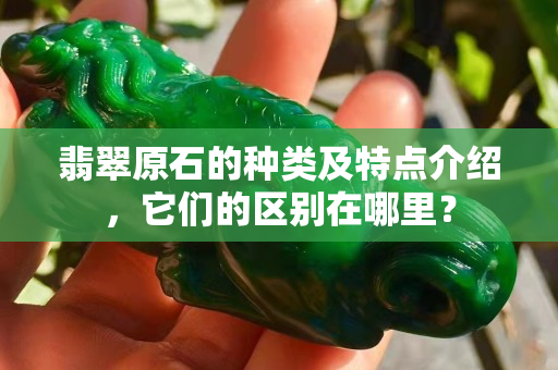 翡翠原石的種類及特點介紹，它們的區別在哪里？
