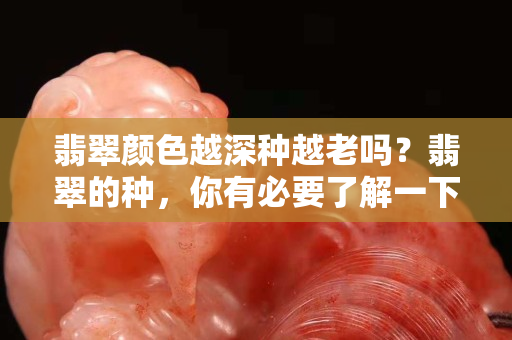 翡翠顏色越深種越老嗎？翡翠的種，你有必要了解一下！