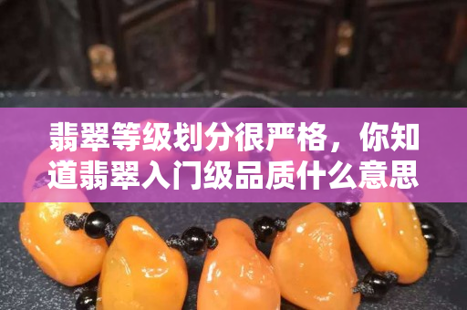 翡翠等級劃分很嚴格，你知道翡翠入門級品質什么意思嗎？