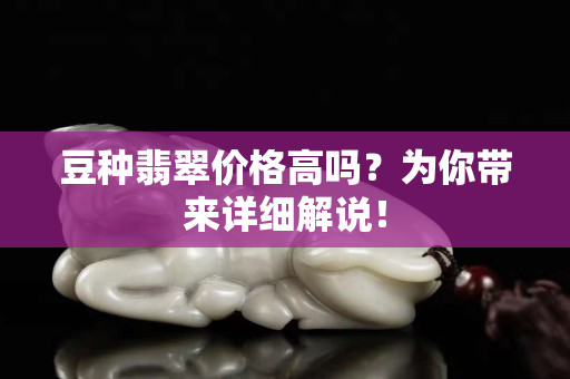 豆種翡翠價格高嗎？為你帶來詳細解說！