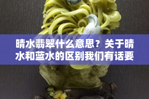 晴水翡翠什么意思？關于晴水和藍水的區別我們有話要說