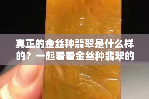 真正的金絲種翡翠是什么樣的？一起看看金絲種翡翠的真面目