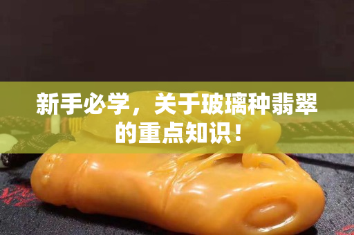 新手必學，關于玻璃種翡翠的重點知識！