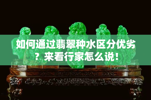 如何通過翡翠種水區分優劣？來看行家怎么說！