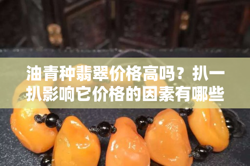 油青種翡翠價(jià)格高嗎？扒一扒影響它價(jià)格的因素有哪些！