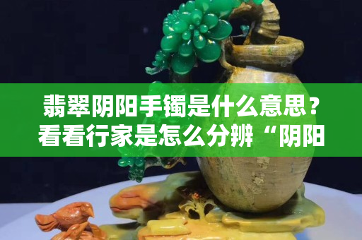 翡翠陰陽(yáng)手鐲是什么意思？看看行家是怎么分辨“陰陽(yáng)翡翠”的