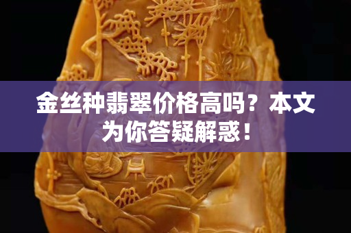 金絲種翡翠價格高嗎？本文為你答疑解惑！