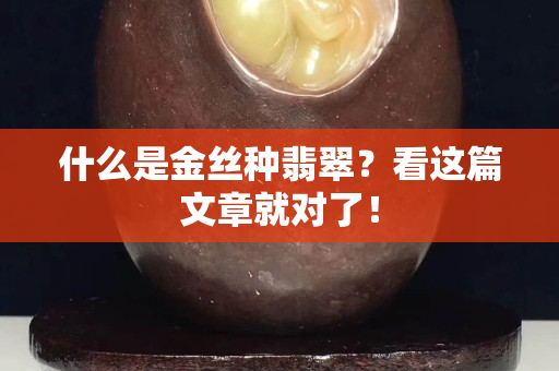 什么是金絲種翡翠？看這篇文章就對了！
