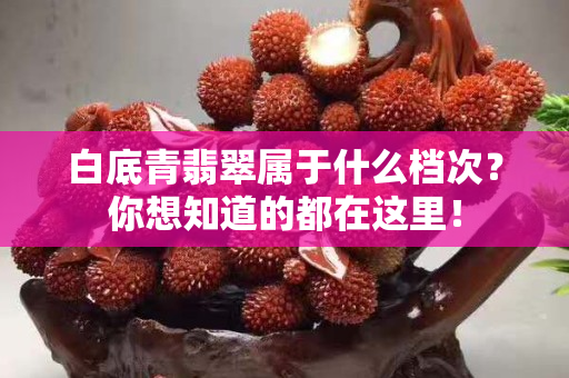 白底青翡翠屬于什么檔次？你想知道的都在這里！