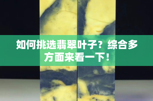 如何挑選翡翠葉子？綜合多方面來看一下！
