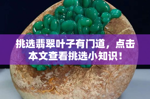 挑選翡翠葉子有門道，點擊本文查看挑選小知識！