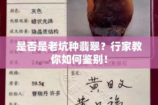 是否是老坑種翡翠？行家教你如何鑒別！