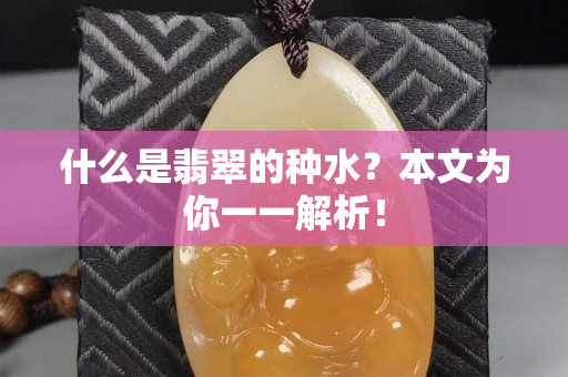 什么是翡翠的種水？本文為你一一解析！
