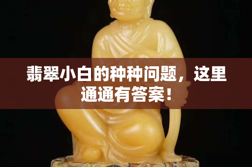翡翠小白的種種問題，這里通通有答案！