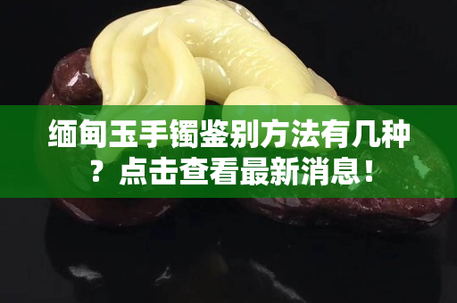 緬甸玉手鐲鑒別方法有幾種？點擊查看最新消息！