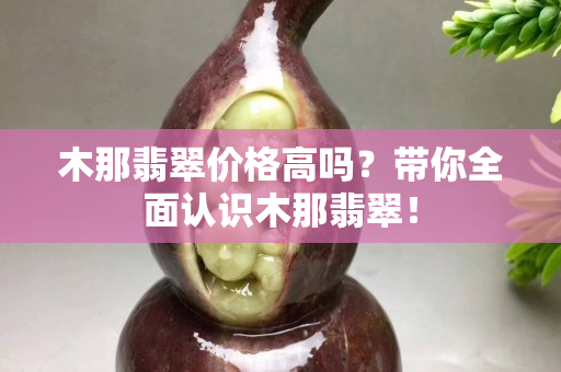 木那翡翠價格高嗎？帶你全面認識木那翡翠！