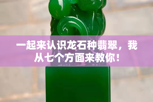 一起來認識龍石種翡翠，我從七個方面來教你！