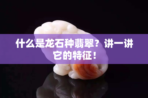 什么是龍石種翡翠？講一講它的特征！