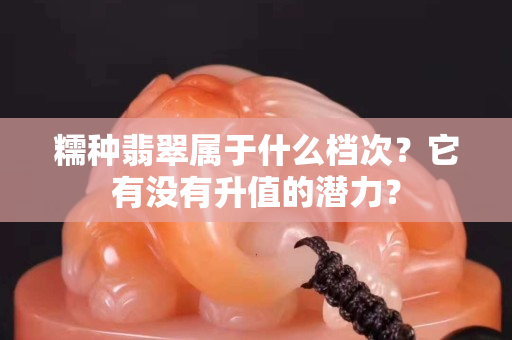 糯種翡翠屬于什么檔次？它有沒有升值的潛力？