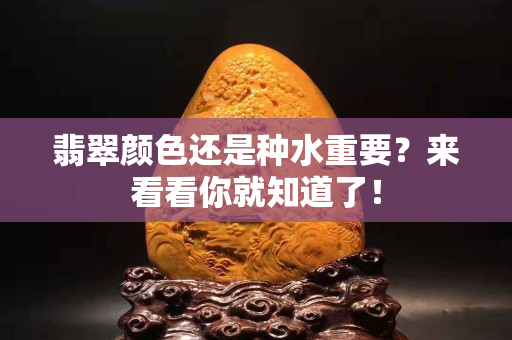 翡翠顏色還是種水重要？來看看你就知道了！