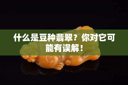 什么是豆種翡翠？你對它可能有誤解！