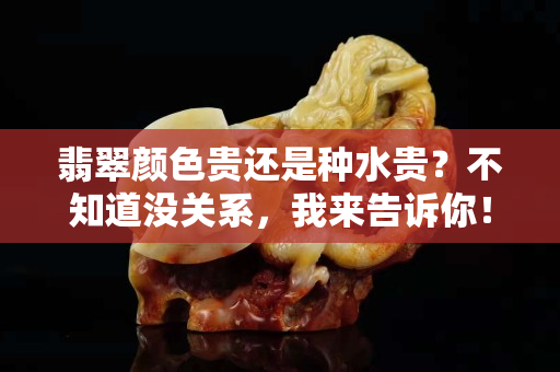 翡翠顏色貴還是種水貴？不知道沒關系，我來告訴你！
