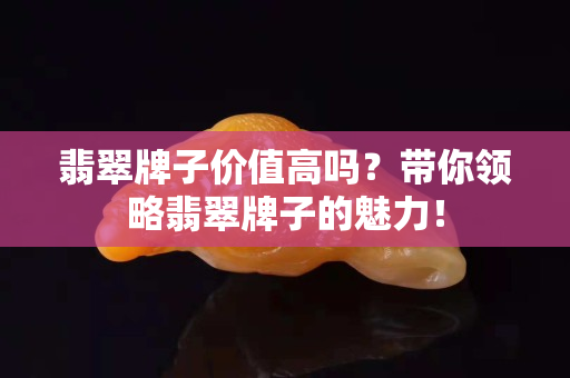 翡翠牌子價值高嗎？帶你領略翡翠牌子的魅力！