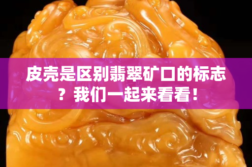 皮殼是區別翡翠礦口的標志？我們一起來看看！