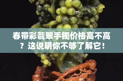 春帶彩翡翠手鐲價格高不高？這說明你不夠了解它！