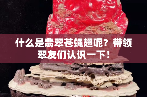什么是翡翠蒼蠅翅呢？帶領翠友們認識一下！