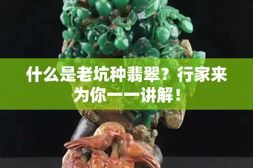 什么是老坑種翡翠？行家來為你一一講解！