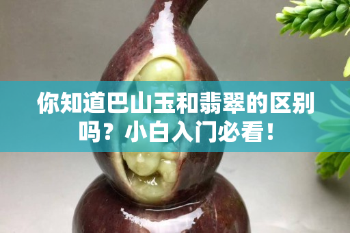 你知道巴山玉和翡翠的區(qū)別嗎？小白入門必看！