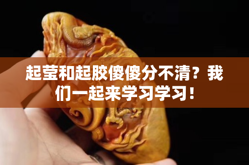 起瑩和起膠傻傻分不清？我們一起來學習學習！