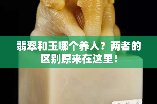 翡翠和玉哪個養人？兩者的區別原來在這里！