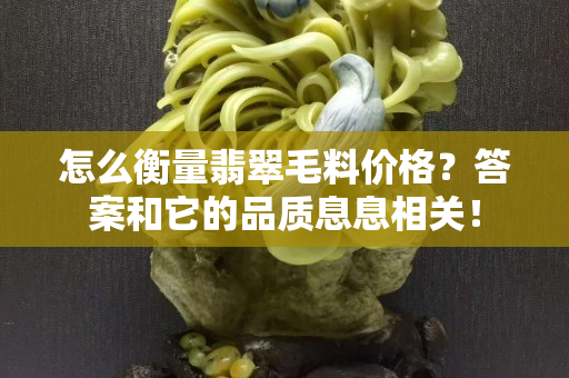 怎么衡量翡翠毛料價格？答案和它的品質息息相關！