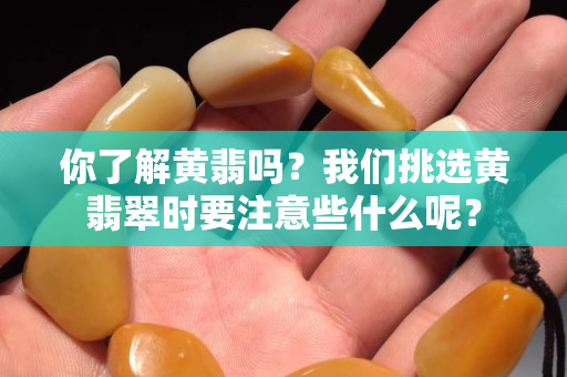 你了解黃翡嗎？我們挑選黃翡翠時(shí)要注意些什么呢？