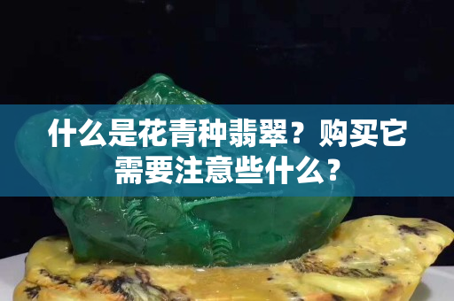 什么是花青種翡翠？購買它需要注意些什么？
