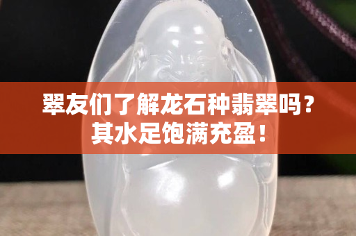 翠友們了解龍石種翡翠嗎？其水足飽滿充盈！