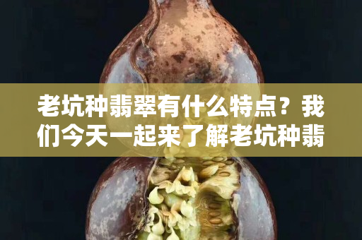 老坑種翡翠有什么特點？我們今天一起來了解老坑種翡翠！